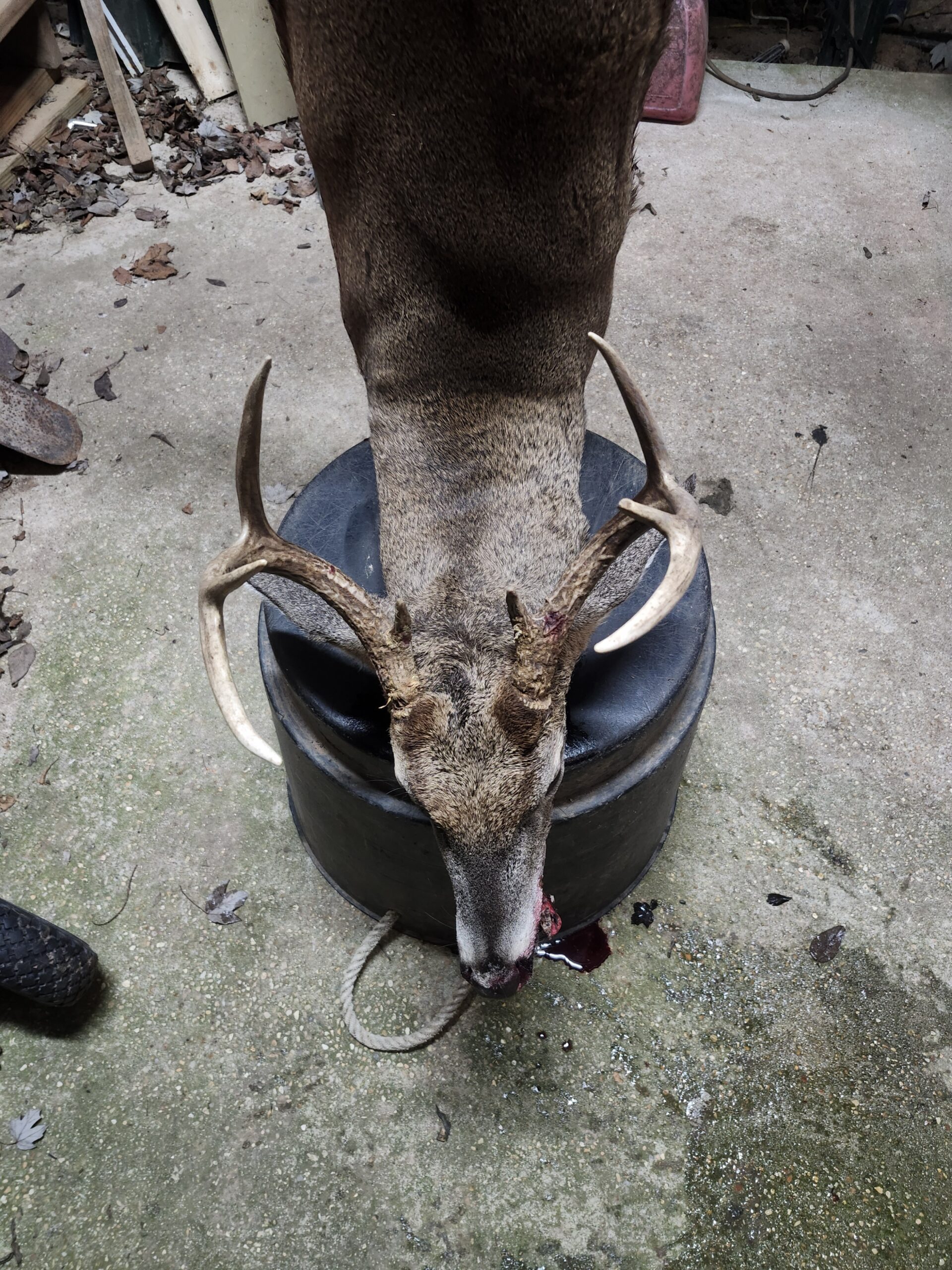 hunting club in Iberville parish looking for members