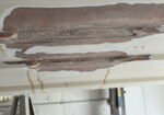 FIBERGLASS & GELCOAT REPAIR