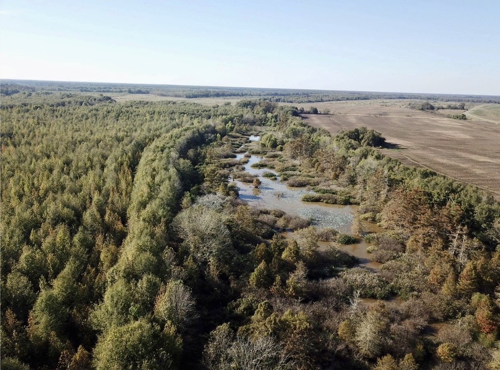 130 acres of Walk In Ready Great Hunting in Tensas Parish