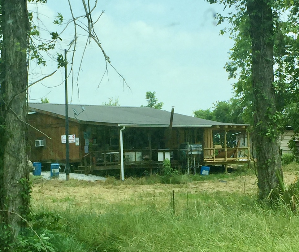 130 acres of Walk In Ready Great Hunting in Tensas Parish