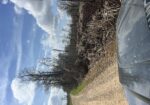 344 acres of hunting land in Eudora, AR