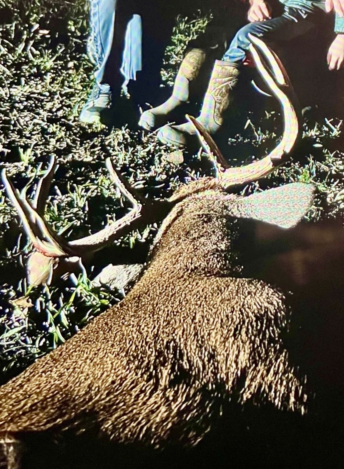 344 acres of hunting land in Eudora, AR