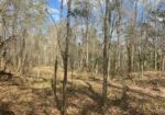 25 AC TURKEY CREEK RD, NATCHEZ, MS – $150,000