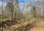 25 AC TURKEY CREEK RD, NATCHEZ, MS – $150,000
