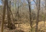 25 AC TURKEY CREEK RD, NATCHEZ, MS – $150,000