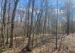 25 AC TURKEY CREEK RD, NATCHEZ, MS – $150,000