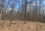 25 AC TURKEY CREEK RD, NATCHEZ, MS – $150,000