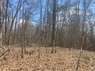 25 AC TURKEY CREEK RD, NATCHEZ, MS – $150,000
