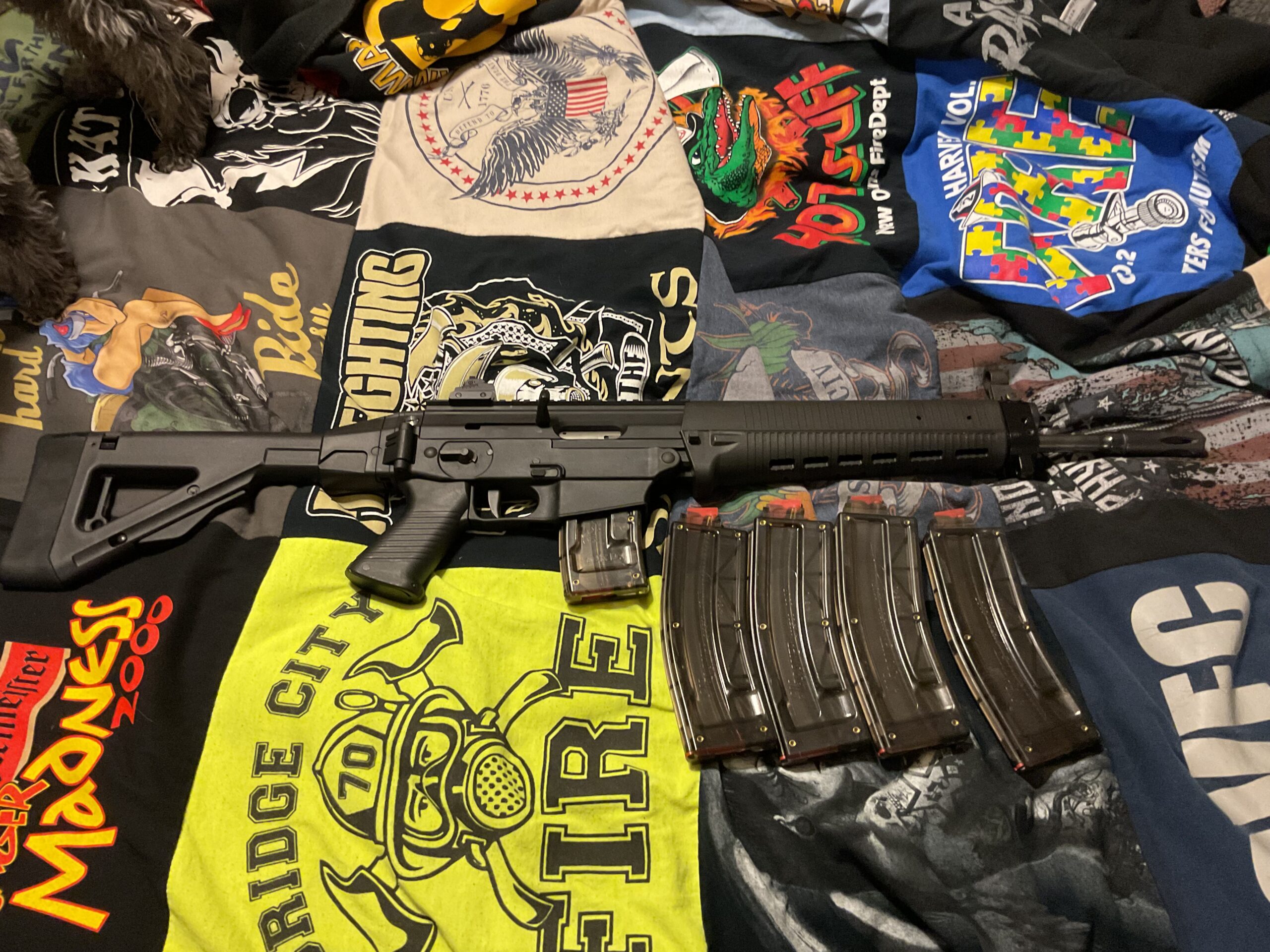 Ruger mini14 tactical and Sig Sauer 522