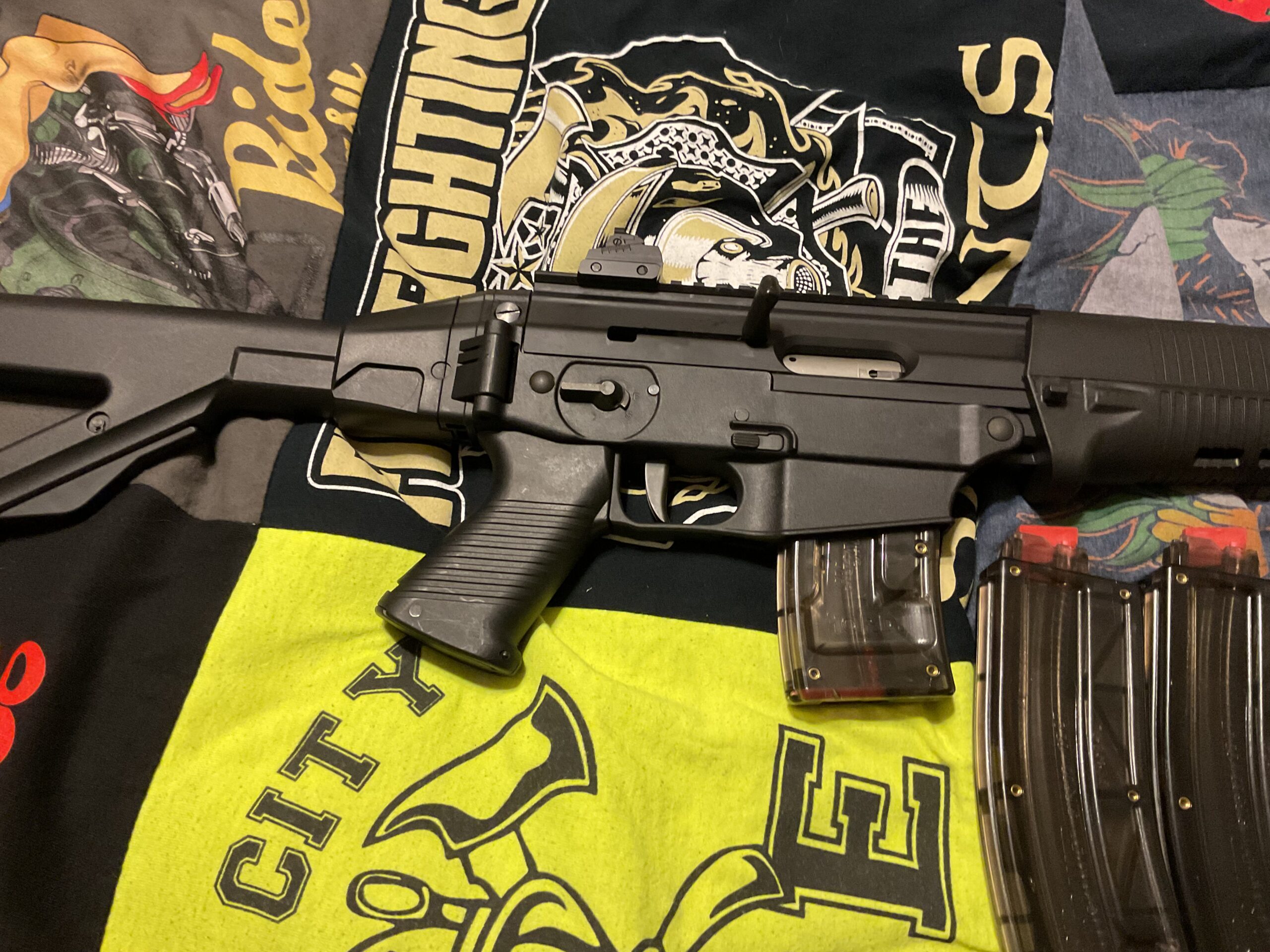 Ruger mini14 tactical and Sig Sauer 522