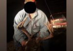 344 acres of hunting land in Eudora, AR