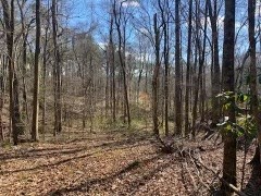 LOT 12 TURKEY CREEK RD, NATCHEZ, MS 39120 – $15,000