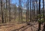 LOT 13 TURKEY CREEK RD, NATCHEZ, MS – $15,000