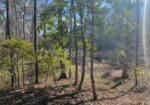 LOT 13 TURKEY CREEK RD, NATCHEZ, MS – $15,000