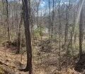 LOT 13 TURKEY CREEK RD, NATCHEZ, MS – $15,000