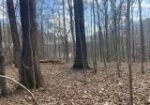 LOT 13 TURKEY CREEK RD, NATCHEZ, MS – $15,000
