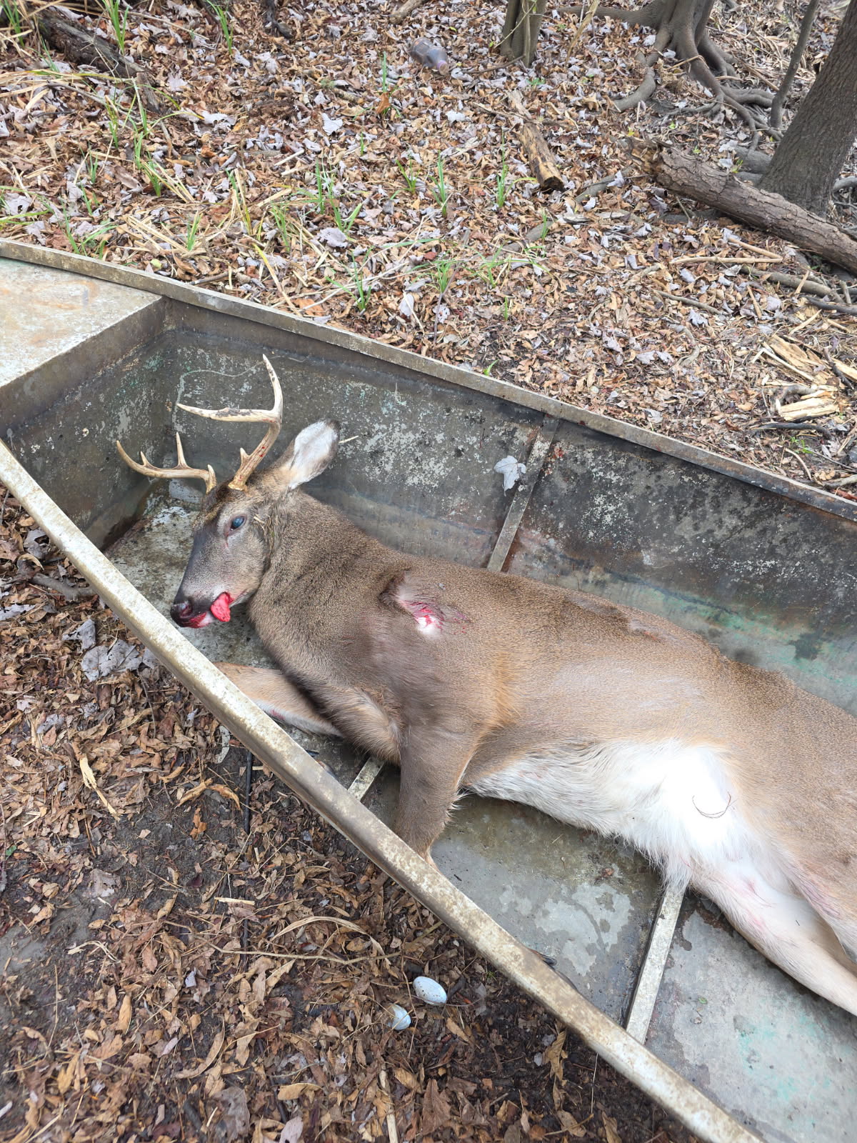 hunting club in Iberville parish looking for members