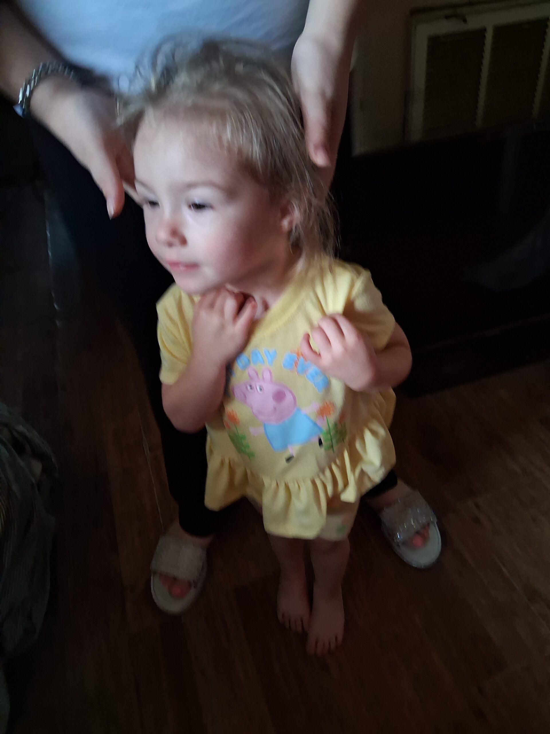 2001 Indian Scout 100 year anniversary edition 10K miles