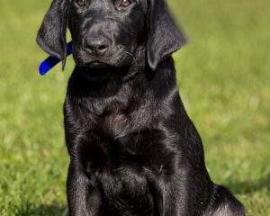 3F5CC00A-0217-4276-906F-A53B1AB3CA8F