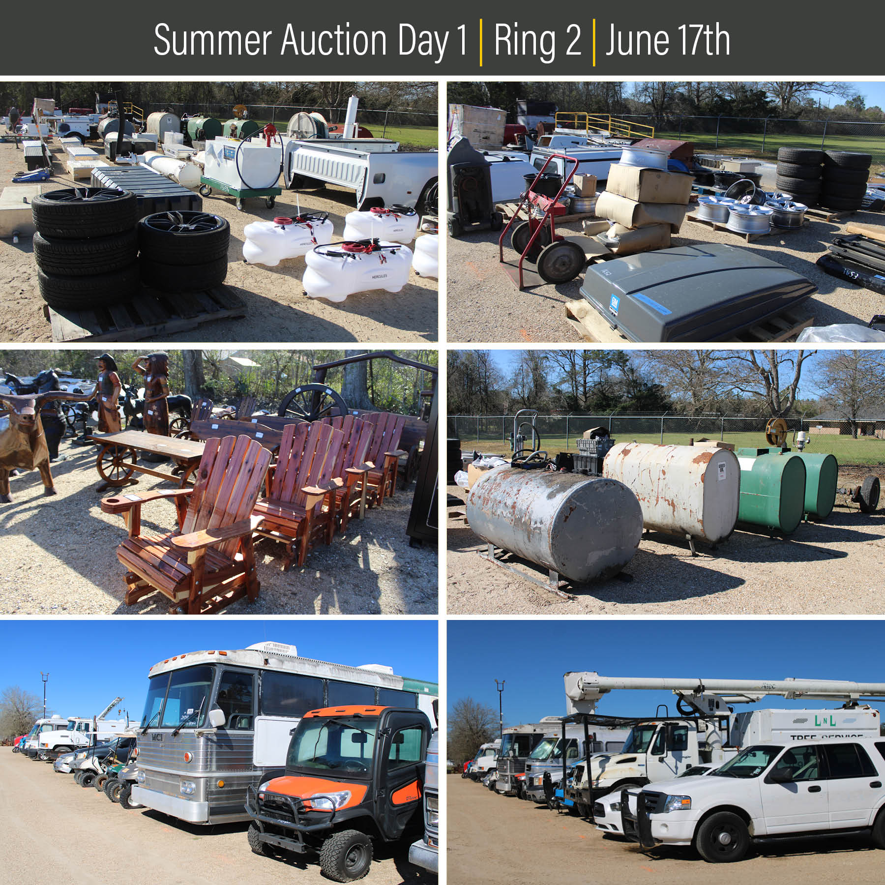 6.17.26 | Day 1 | Ring 2 | 2-Day Summer Public Live Auction