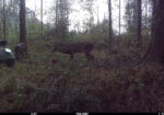 Coon Creek Hunting Club- Walker, Louisiana- Nearby Denham Springs- 1 Hour 20 Minutes from Metairie-