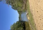 4.7 acres waterfront Toledo Bend
