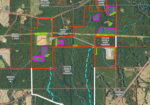 272 acres Amite County Miss with a 308 acre lease