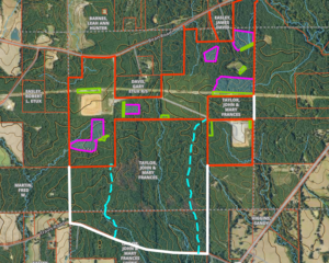 Screenshot-2026-03-04-105916