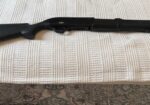 300 Win Mag Rifle & 12 Gauge Shotgun