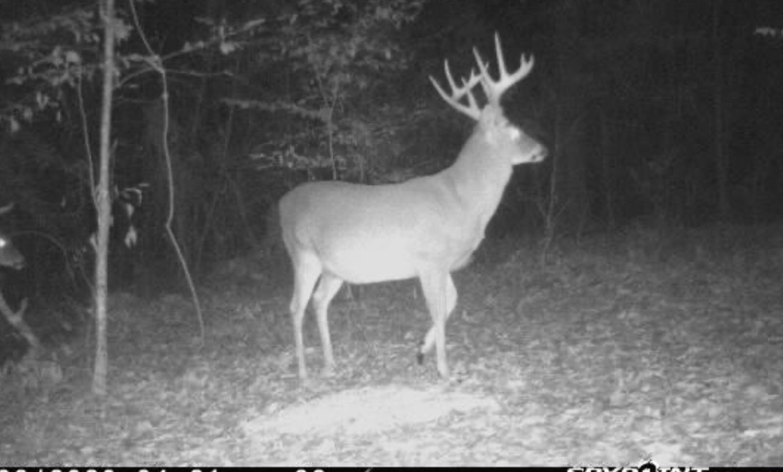 1781 TOM CRUM RD, CROSBY, MS 39633