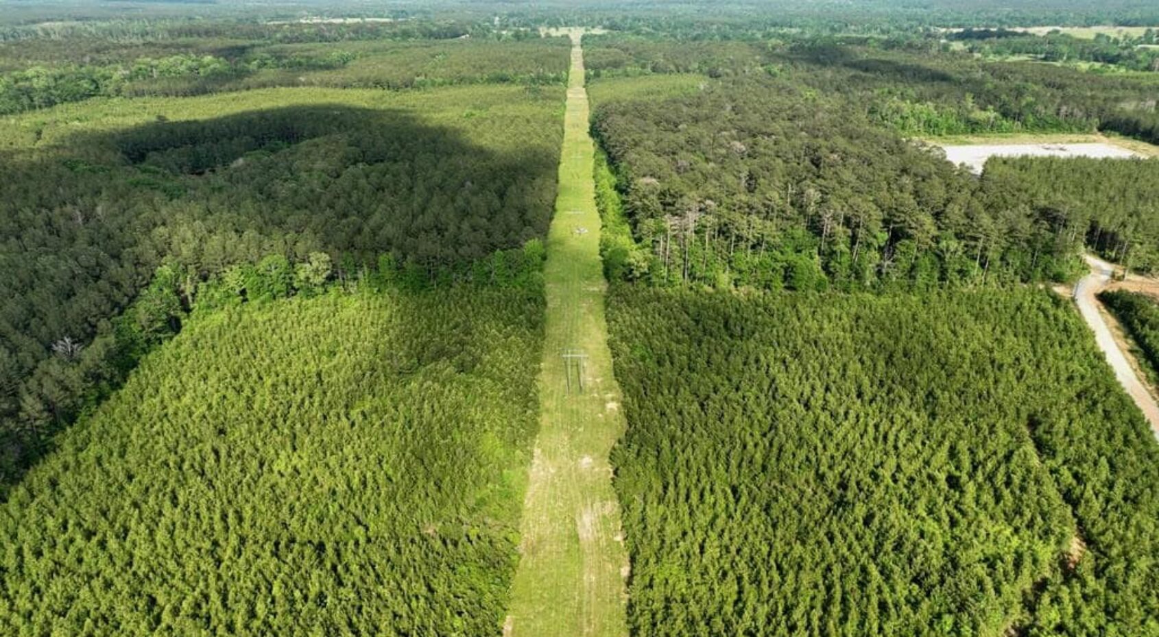 272 acres Amite County Miss with a 308 acre lease