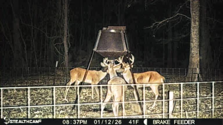 L&G Bowhunting Club