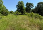 53 CLIFFS PLANTATION, NATCHEZ, MS – 50.48 AC – $242,500