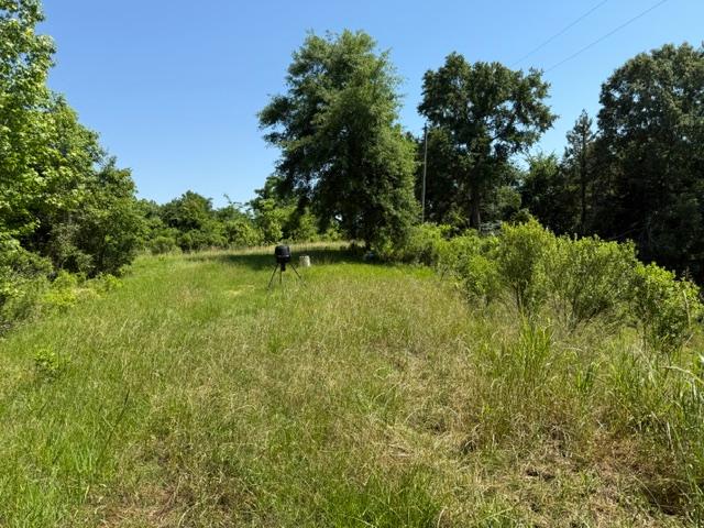 53 CLIFFS PLANTATION, NATCHEZ, MS – 50.48 AC – $242,500
