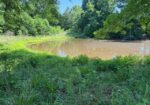 53 CLIFFS PLANTATION, NATCHEZ, MS – 50.48 AC – $242,500