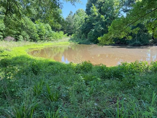 53 CLIFFS PLANTATION, NATCHEZ, MS – 50.48 AC – $242,500
