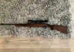 Winchester 22 LR