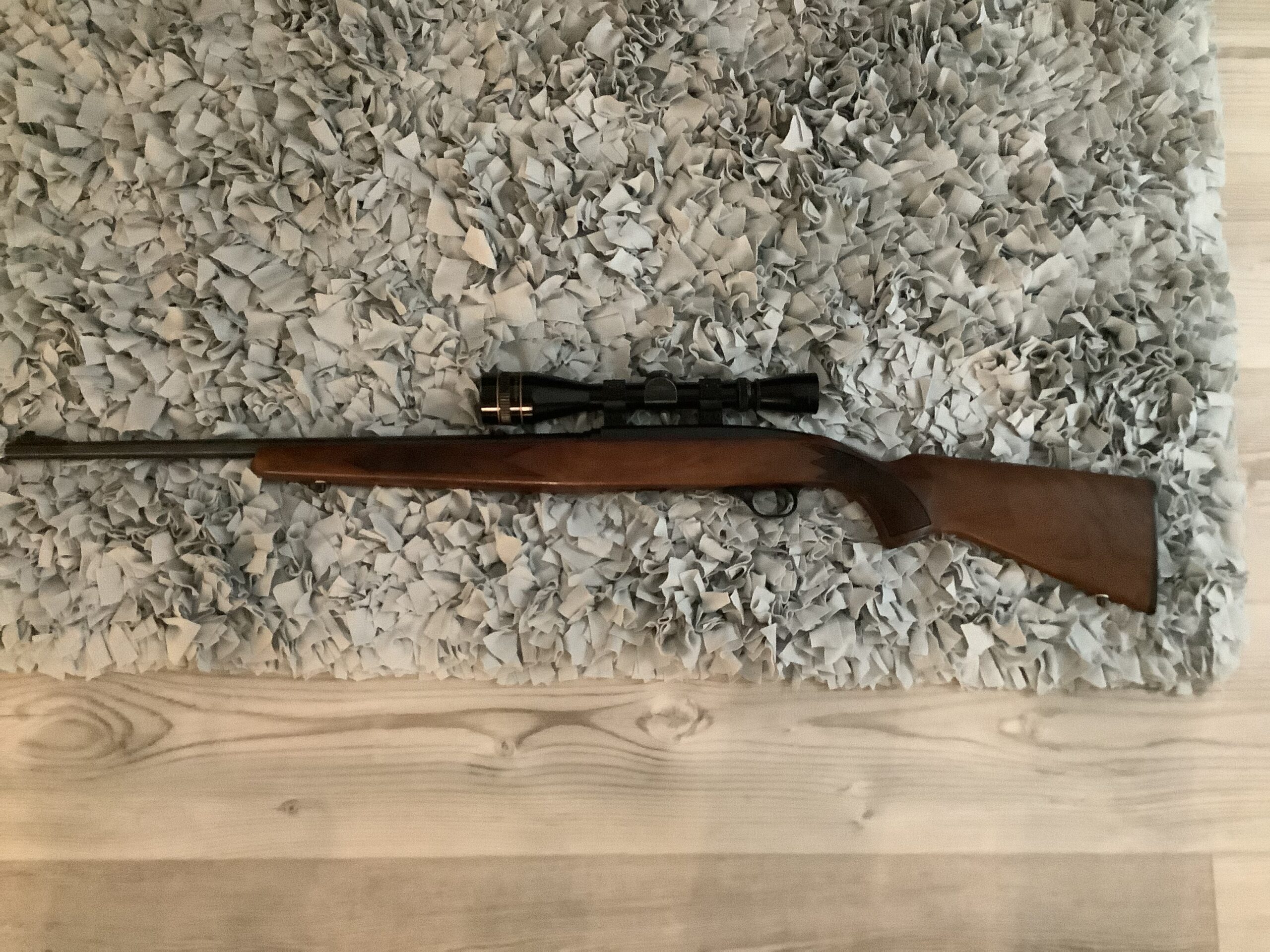 Winchester 22 LR