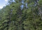 996 HICKORY GROVE, LUMBERTON, MS 39455 – $35,000
