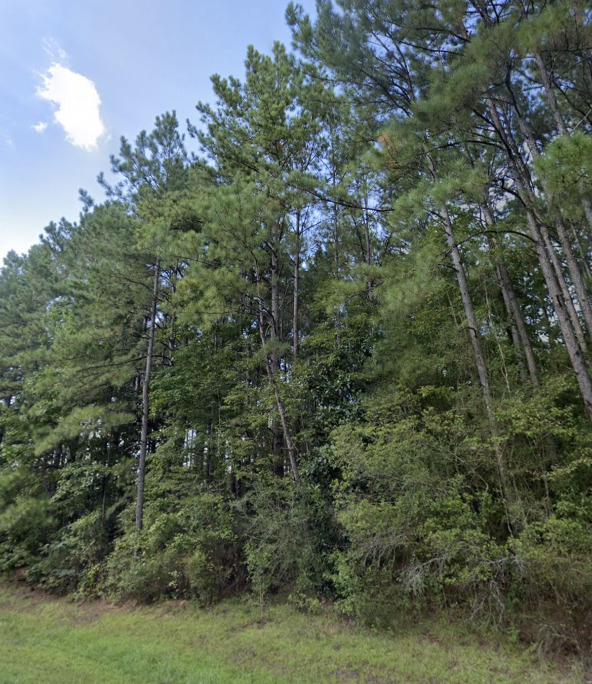 996 HICKORY GROVE, LUMBERTON, MS 39455 – $35,000