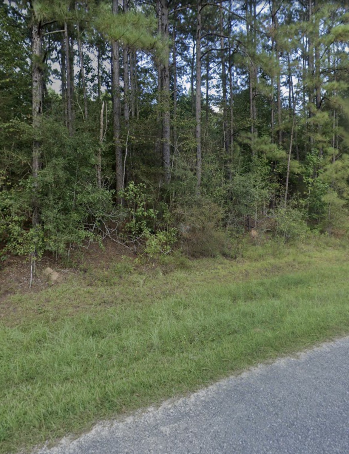 996 HICKORY GROVE, LUMBERTON, MS 39455 – $35,000
