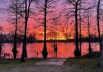674 BOGGY BAYOU RD, MARKSVILLE, LA 71351