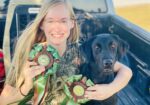 AKC Lab Puppies