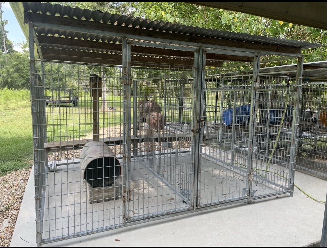 Double dog kennel with roof
