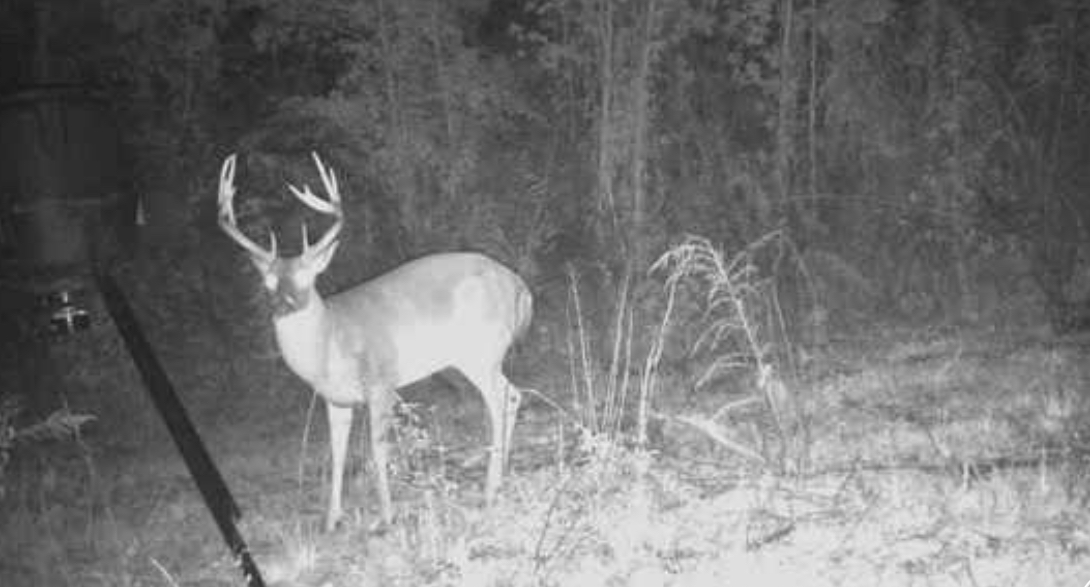 53 CLIFFS PLANTATION, NATCHEZ, MS – 50.48 AC – $242,500