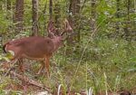 Hunting membership available for Natchez Ms