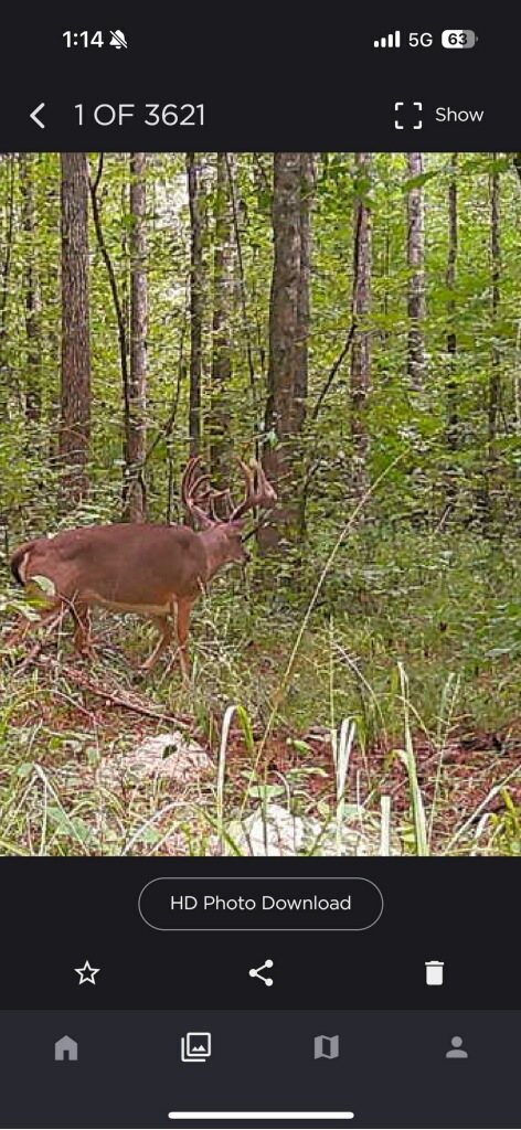 Hunting membership available for Natchez Ms
