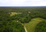 Hunting Land for sale Amite County