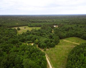 DJI_0497