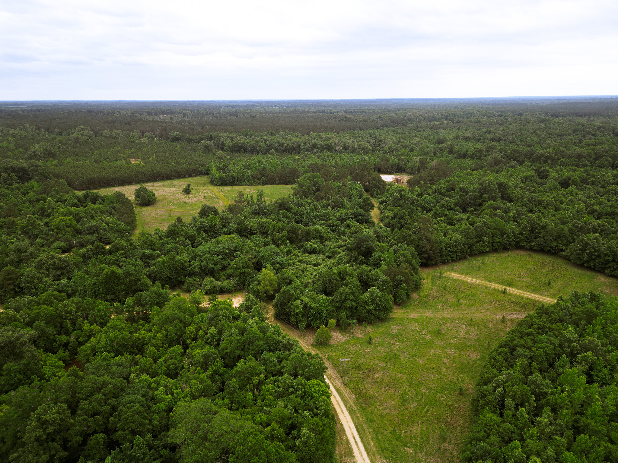 Hunting Land for sale Amite County